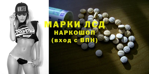 стаф Дмитров