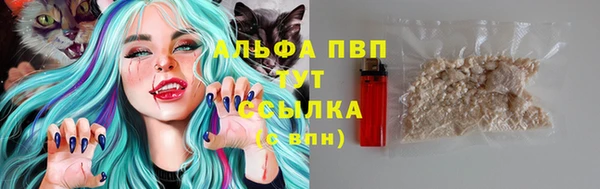 крисы Дмитриев