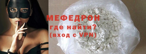 индика Гусев