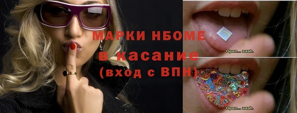 стаф Дмитров