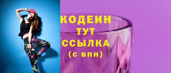 стаф Дмитров