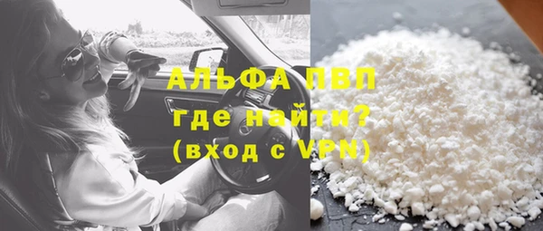 стаф Дмитров