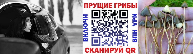 цена   Октябрьск  Галлюциногенные грибы ЛСД 
